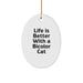 Life Is Better With A Bicolor Cat Gifts from Family for Bicolor Cat Lovers - Oval Ornament, Christmas Unique Gifts - Image 1
