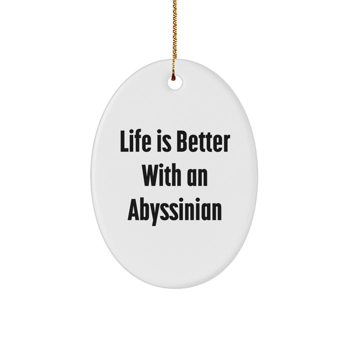 Abyssinian Cat Oval Ornament, Funny Quote Life Is Better With An Abyssinian Gifts for Abyssinian Cat Lovers, Christmas Unique Presents from Friends and Family - Image 1