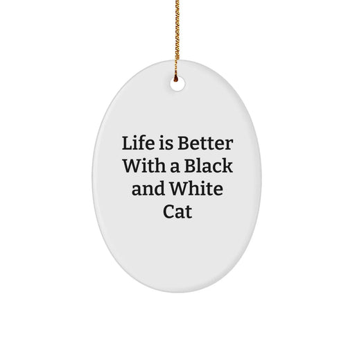 Black and White Cat Gifts for Men and Women, Oval Ornament with Funny Quote 'Life Is Better With A Black And White Cat' for Christmas, Gifts from Family and Friends - Image 1