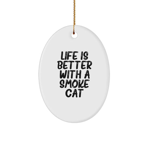 Funny Smoke Cat Oval Ornament, Gifts from Men to Smoke Cat Lovers, Life is Better With a Smoke Cat - Image 1
