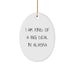 Funny Alaska Gifts for Friends and Family - I Am Kind of a Prime Selection In Alaska Oval Ornament for Christmas - Image 1