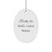 Funny Minister Gifts from Friends for Christmas Unique Oval Ornament, 'Officially The World's Coolest Minister' Quote Decorative Wall Hanging, White Oval Shaped MDF Material - Image 1