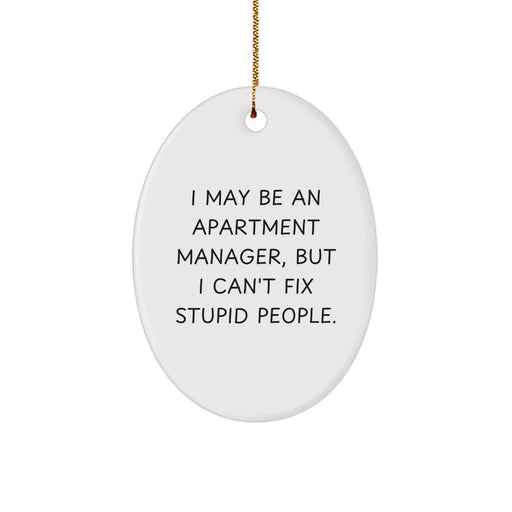 Funny Apartment Manager Gifts for Men - Oval Ornament, I May Be An Apartment Manager, But I Can't Fix Stupid People, Christmas Unique Decorations - Image 1