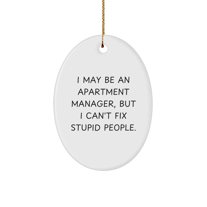 Funny Apartment Manager Gifts for Men - Oval Ornament, I May Be An Apartment Manager, But I Can't Fix Stupid People, Christmas Unique Decorations - Image 1