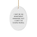 Funny Apartment Manager Gifts for Men - Oval Ornament, I May Be An Apartment Manager, But I Can't Fix Stupid People, Christmas Unique Decorations - Image 1