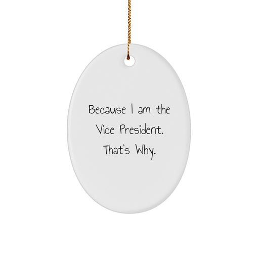 Funny Vice President Oval Ornament Gifts from Men Women Friends Coworkers Family for Vice President's Christmas - Image 1