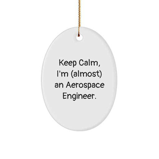 Funny Aerospace Engineer Christmas Oval Ornament Gifts from Family for Men, Women, Friends, Coworkers, or Aerospace Engineer Enthusiasts, Keep Calm I'm (almost) An Aerospace Engineer - Image 1