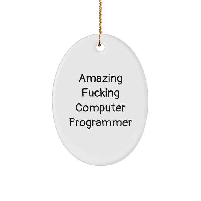Gifts from Men for Computer Programmer Friends Funny Oval Ornament, Amazing 'F--king' Computer Programmer Christmas Unique Gift for Family Members, White Oval Shaped MDF Wood - Image 1