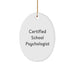 Funny 'You're a-maze-ing' Certified School Psychologist Oval Ornament, Christmas Unique Gifts from Family to School Psychologist - Image 1