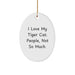 Funny Tiger Cat Oval Ornament Gifts for Tiger Cat Lovers, Christmas Unique Gifts from Friends, Family with I Love My Tiger Cat People Not So Much Humor - Image 1