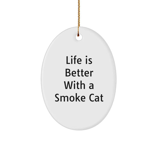 Funny Smoke Cat Gifts from Friends - Life is Better Quote Oval Ornament Christmas Decor - Image 1