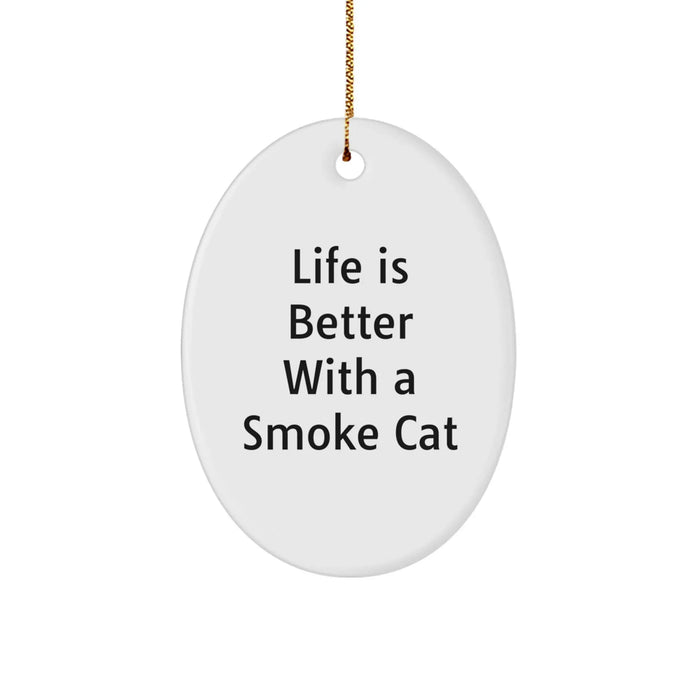 Funny Smoke Cat Gifts from Friends - Life is Better Quote Oval Ornament Christmas Decor - Image 1