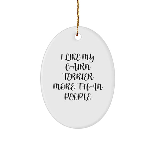 Cairn Terrier Dog Lovers Funny Gifts from Family for Christmas Oval Ornament - Image 1