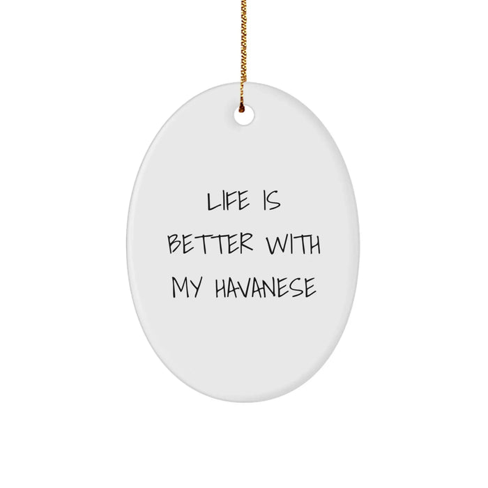 Funny Havanese Dog Oval Ornament Gifts from Men to Havanese Dog Lovers at Christmas Unique Gifts - Image 1