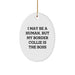 Funny Border Collie Dog Mom Gifts from Friends for Christmas Unique Oval Ornament - 'I May Be A Human, But My Border Collie Is The Boss' - Image 1