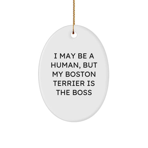 Funny Boston Terrier Dog Gifts from Friends for Boston Terrier Lovers - Oval Ornament Christmas Unique Decorations - Image 1