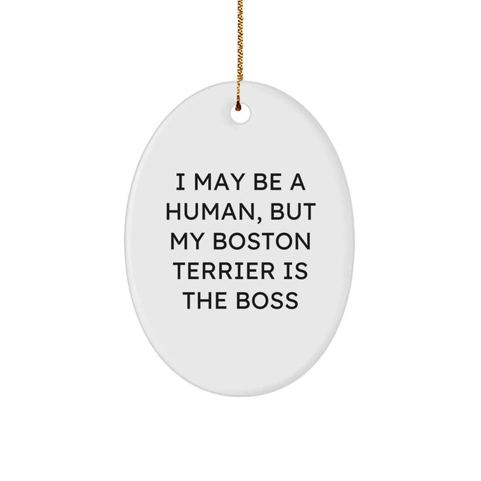 Funny Boston Terrier Dog Gifts from Friends for Boston Terrier Lovers - Oval Ornament Christmas Unique Decorations - Image 1