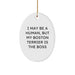 Funny Boston Terrier Dog Gifts from Friends for Boston Terrier Lovers - Oval Ornament Christmas Unique Decorations - Image 1