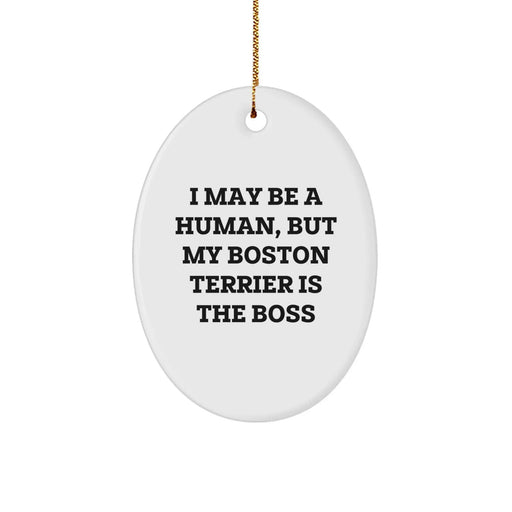 Funny Boston Terrier Dog Christmas Oval Ornament, Gifts from Friends to Family, I May Be A Human, But My Boston Terrier Is The Boss, Boston Terrier Dog Gifts - Image 1