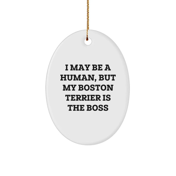 Funny Boston Terrier Dog Christmas Oval Ornament, Gifts from Friends to Family, I May Be A Human, But My Boston Terrier Is The Boss, Boston Terrier Dog Gifts - Image 1