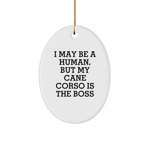 Funny Cane Corso Dog Christmas Oval Ornament Gifts from Men to Family - I May Be A Human, But My Cane Corso Is The Boss - Image 1