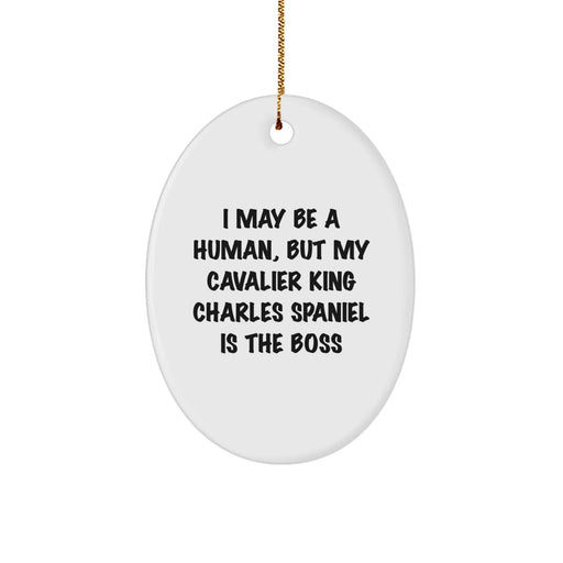 Funny Cavalier King Charles Spaniel Dog Oval Ornament Gifts from Men on Christmas Unique Gifts for Cavalier King Charles Spaniel Dog Enthusiasts - Image 1