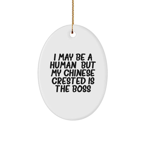 Funny Chinese Crested Dog Gifts for Men - Oval Ornament I May Be A Human, But My Chinese Crested Is The Boss - Image 1