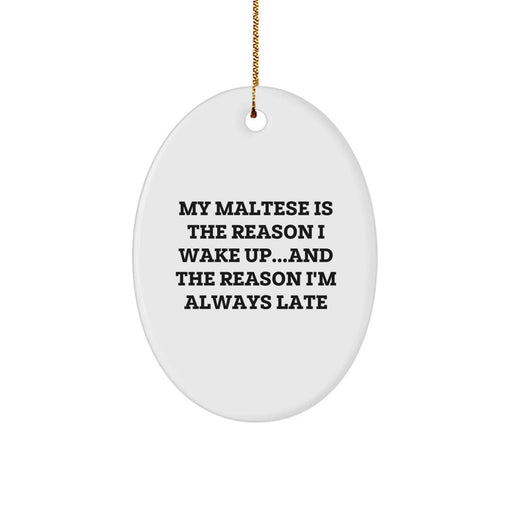 Funny Maltese Dog Oval Ornament Gifts for Friends and Family at Christmas - Image 1