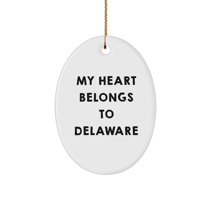 Funny Delaware Oval Ornament Gifts from Friends for Delaware Lover - Image 1