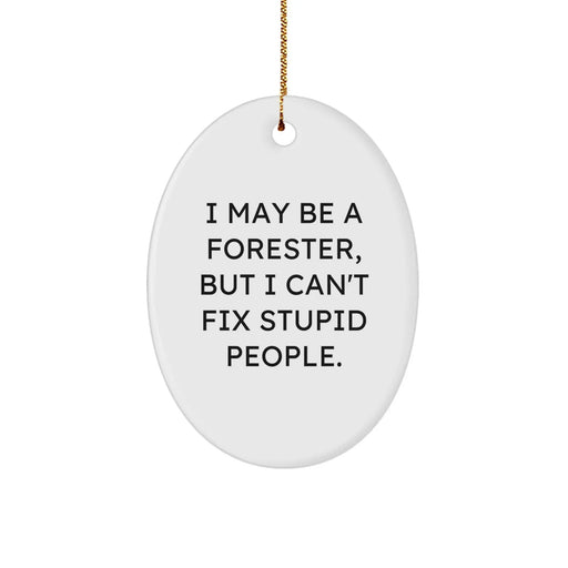 Forester Gifts from Friends - Funny Oval Ornament, I May Be A Forester, But I Can't Fix Stupid People. - Christmas Unique Gifts for Men Forester - Image 1