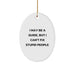 Funny Oval Ornament Gifts from Men to Guide for Christmas - Image 1
