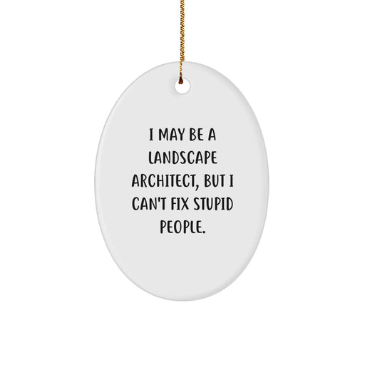 Funny Landscape Architect Gift, Christmas Unique Oval Ornament, I May Be A Landscape Architect, But I Can't Fix Stupid People, Gifts for Landscape Architect from Friends - Image 1