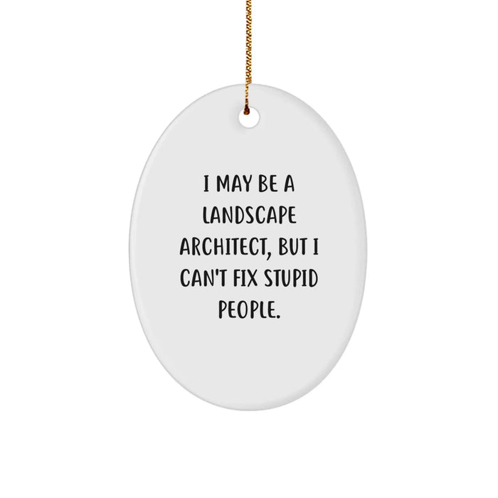 Funny Landscape Architect Gift, Christmas Unique Oval Ornament, I May Be A Landscape Architect, But I Can't Fix Stupid People, Gifts for Landscape Architect from Friends - Image 1