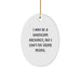 Funny Landscape Architect Gift, Christmas Unique Oval Ornament, I May Be A Landscape Architect, But I Can't Fix Stupid People, Gifts for Landscape Architect from Friends - Image 1