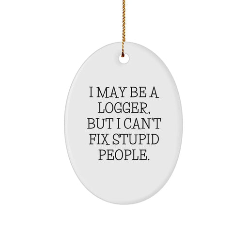 Funny Logger Oval Ornament Gifts from Men for Logger Friends Christmas Unique Decorations, Oval Ornament Logger Gifts, I May Be A Logger, But I Can't Fix Stupid People. - Image 1