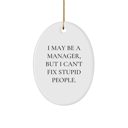Funny Manger Gifts for Men Oval Ornament I May Be A Manager But I Cant Fix Stupid People Christmas Unique Gifts from Friends - Image 1