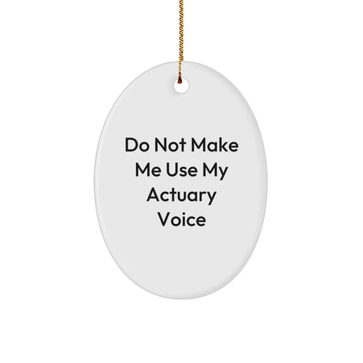 Funny Actuary Gifts, Oval Ornaments for Christmas, 'Do Not Make Me Use My Actuary Voice', Unique Gifts from Friends, Family, Coworkers for Actuary Men, Women - Image 1