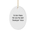 Funny Oval Ornament Gifts for Web Developer Friends and Family from Coworkers - 'Do Not Make Me Use My Web Developer Voice' Christmas Unique Gifts - Image 1
