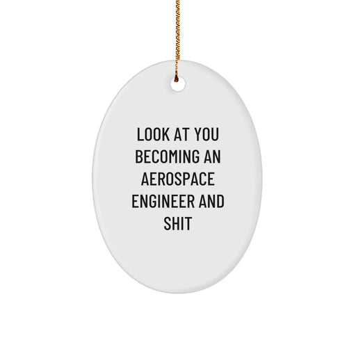 Funny Aerospace Engineer Gifts for Men, Christmas Unique Presents from Friends, Oval Ornament with Look At You Becoming An Aerospace Engineer And Shit Quote, Perfect for Aerospace Engineer - Image 1