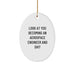 Funny Aerospace Engineer Gifts for Men, Christmas Unique Presents from Friends, Oval Ornament with Look At You Becoming An Aerospace Engineer And Shit Quote, Perfect for Aerospace Engineer - Image 1