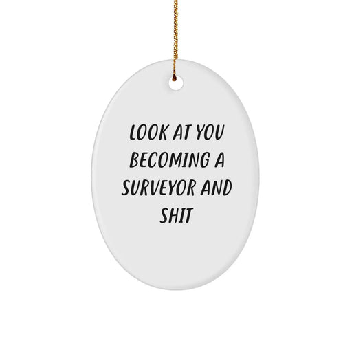 Funny Quote Surveyor Oval Ornament Gifts from Men for Friends with Surveyor Theme, Oval Shaped Christmas Unique Gifts - Image 1