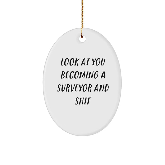 Funny Quote Surveyor Oval Ornament Gifts from Men for Friends with Surveyor Theme, Oval Shaped Christmas Unique Gifts - Image 1