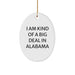 Funny Alabama Gifts from Friends and Family - I Am Kind Of A Prime Selection In Alabama Oval Ornament for Christmas - Image 1
