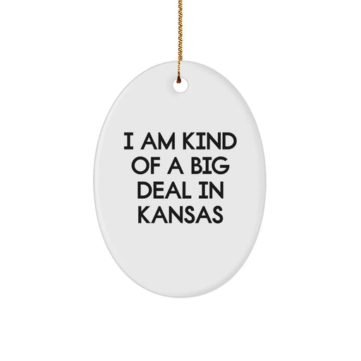 Funny Kansas Oval Ornament Gifts from Men to Friends and Family - 'I Am Kind of a Prime Selection in Kansas' Christmas Decoration - Image 1