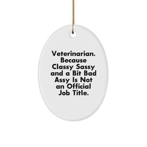 Funny Veterinarian Oval Ornament Gifts from Friends and Family for Christmas Unique Decorations - Image 1