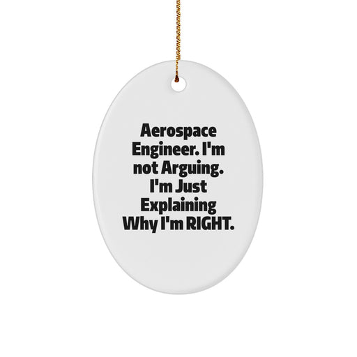 Unique Oval Ornament for Aerospace Engineer, Funny Quote Gifts, Christmas Unique Gifts from Friends, Coworkers, Family, Men, Women - Image 1