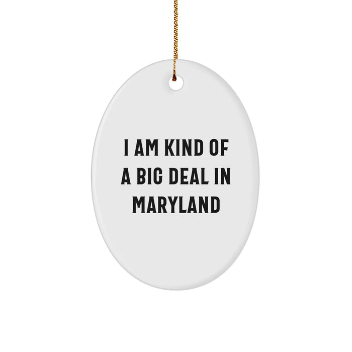 Maryland Oval Ornament I Am Kind Of A Prime Selection Funny Gift for Friends and Family from Maryland - Image 1