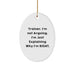 Funny Trainer Gifts for Men from Friends - Trainer Oval Ornament - Christmas Unique Presents for Trainers - Image 1