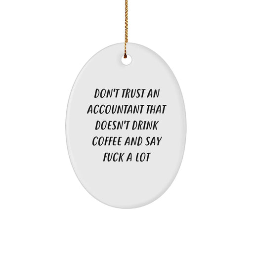 Funny Accountant Oval Ornament Gifts from Men to Friends for Christmas Unique Office Decor - Image 1