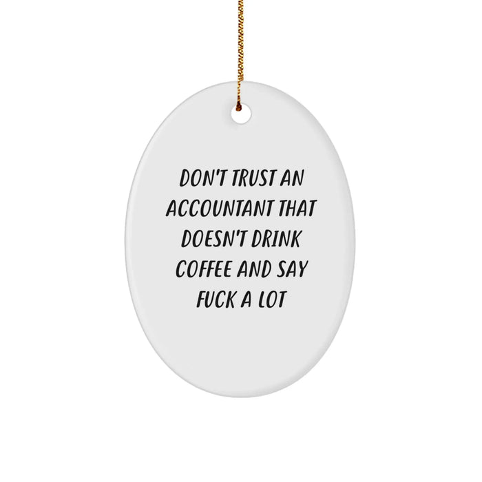 Funny Accountant Oval Ornament Gifts from Men to Friends for Christmas Unique Office Decor - Image 1